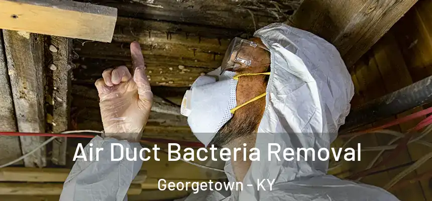 Air Duct Bacteria Removal Georgetown - KY