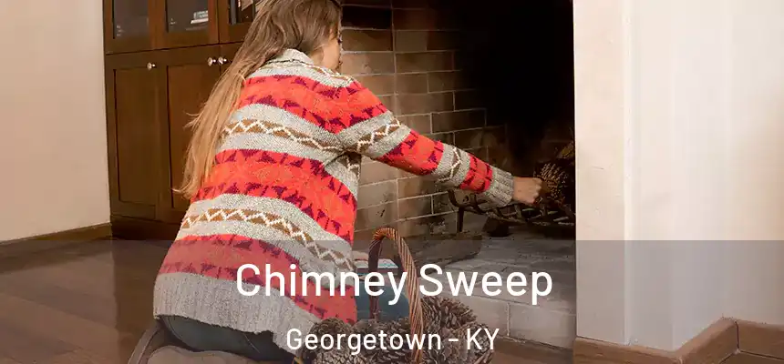  Chimney Sweep Georgetown - KY