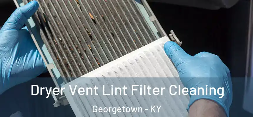 Dryer Vent Lint Filter Cleaning Georgetown - KY