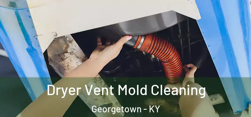 Dryer Vent Mold Cleaning Georgetown - KY