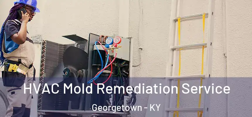 HVAC Mold Remediation Service Georgetown - KY