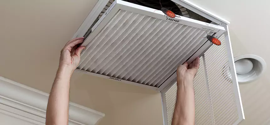 Preventive Cockroach-Proofing for Ducts in Georgetown