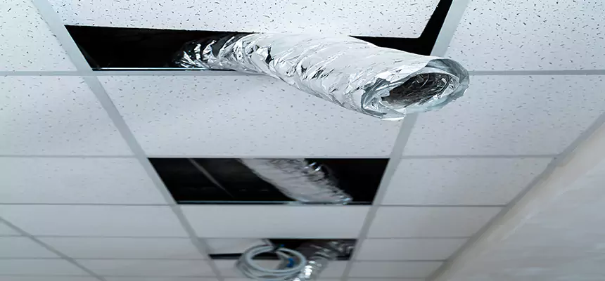 Our Air Duct Pet Hair Removal Services in Georgetown, KY