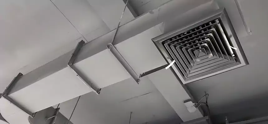 Restorative Allergy Relief Vent Cleaning – Coil, Blower & Housing Detail in Georgetown