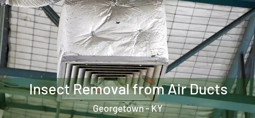Insect Removal from Air Ducts Georgetown - KY