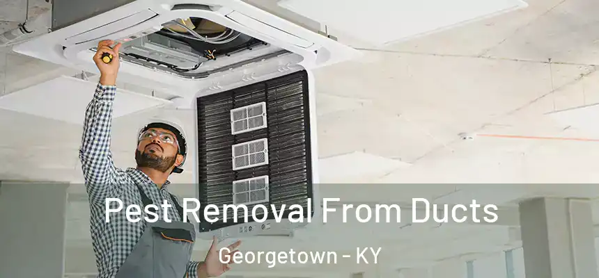  Pest Removal From Ducts Georgetown - KY