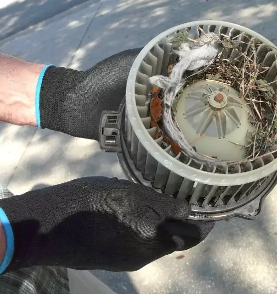 About Air Duct Mice Removal in Georgetown, KY