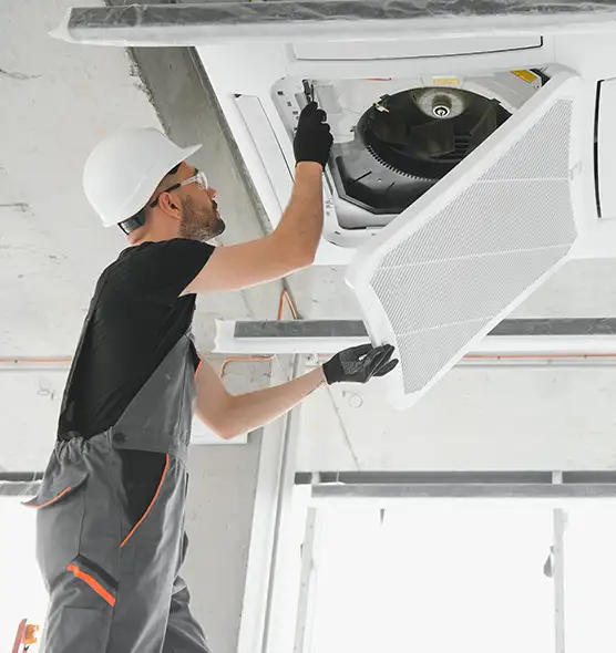 About Air Duct Rodent Removal in Georgetown, KY