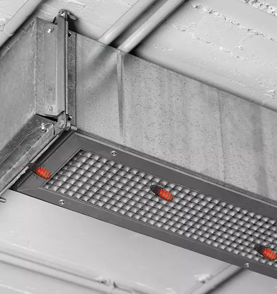 Affordable Insect Removal from Air Ducts in Georgetown, KY