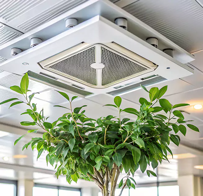 Why Homeowners & Businesses Trust Us in Georgetown, KY?