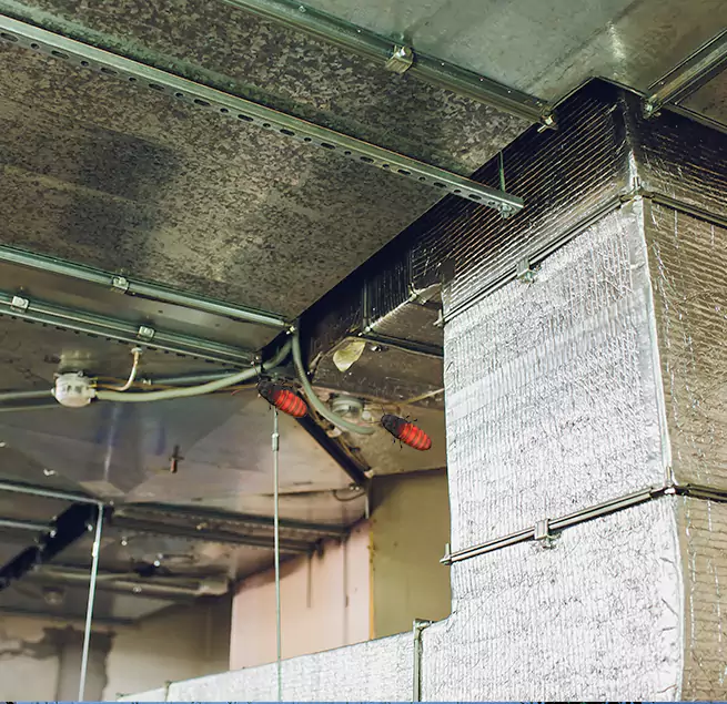 Why Homeowners & Businesses Trust Us Georgetown, KY?